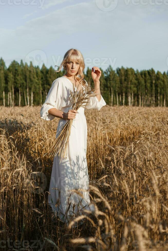 A blonde woman in a long white dress walks in a wheat field. The concept of a wedding and walking in nature. photo