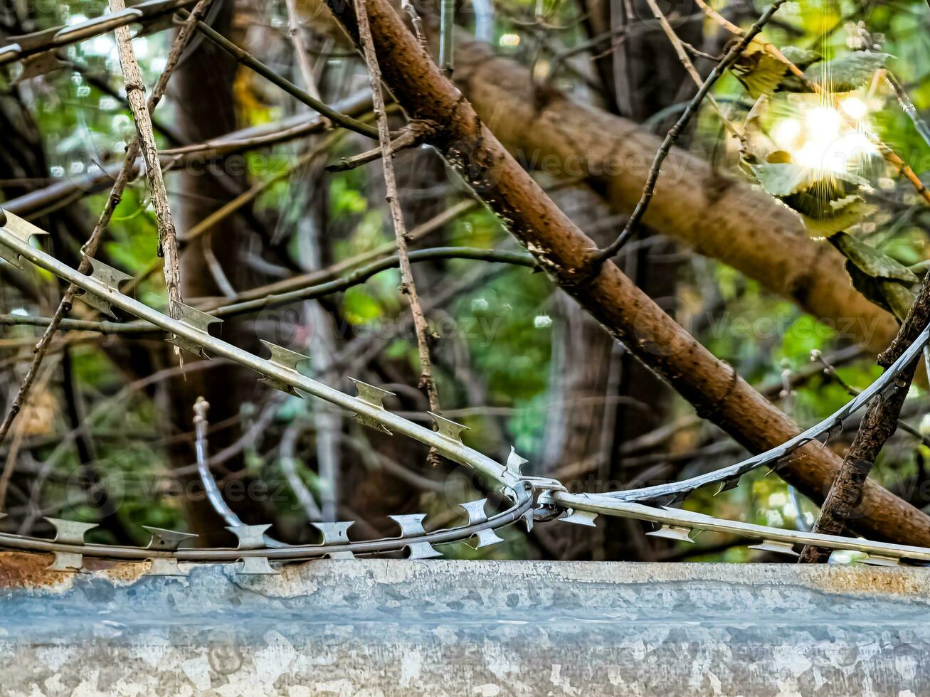 Close-up of steel barbed wire strung on a fence for security. The concept is not freedom. photo