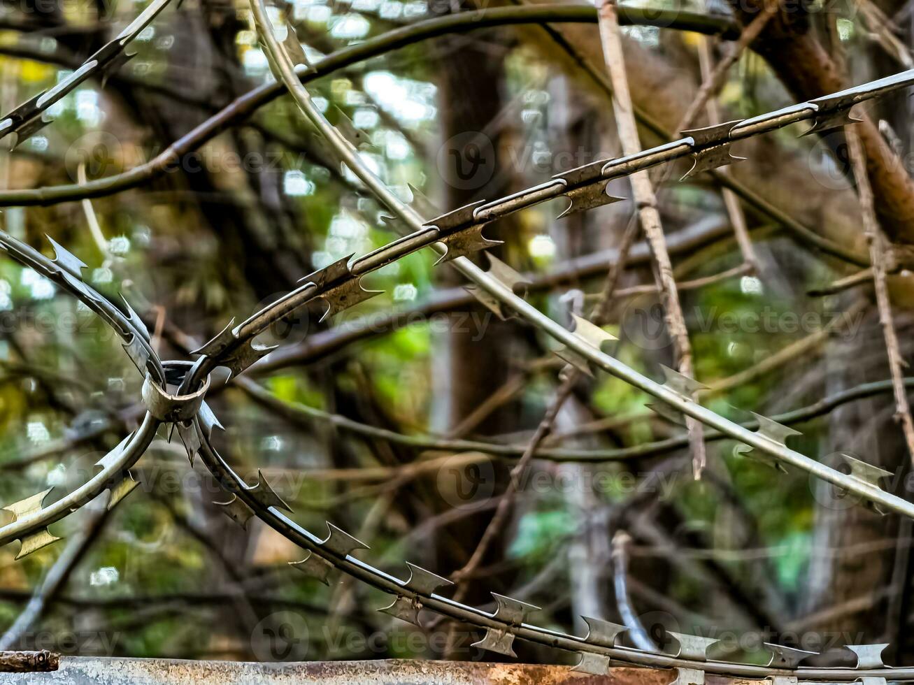 Close-up of steel barbed wire strung on a fence for security. The concept is not freedom. photo