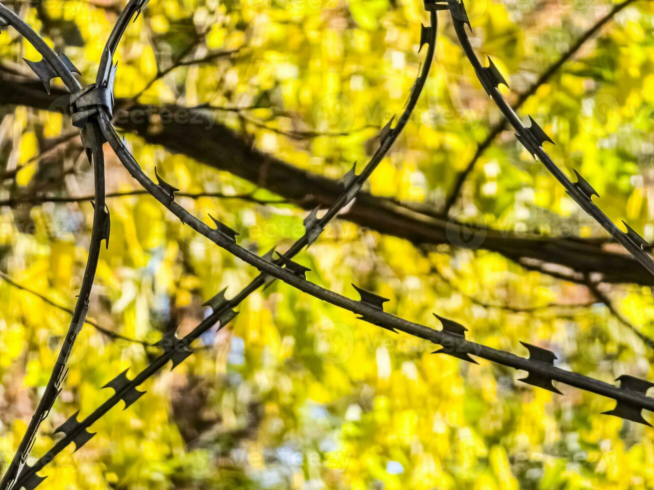 Close-up of steel barbed wire strung on a fence for security. The concept is not freedom. photo