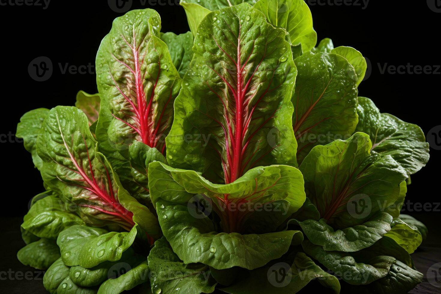 photos of lettuce ready to serve in indoor studio AI Generated