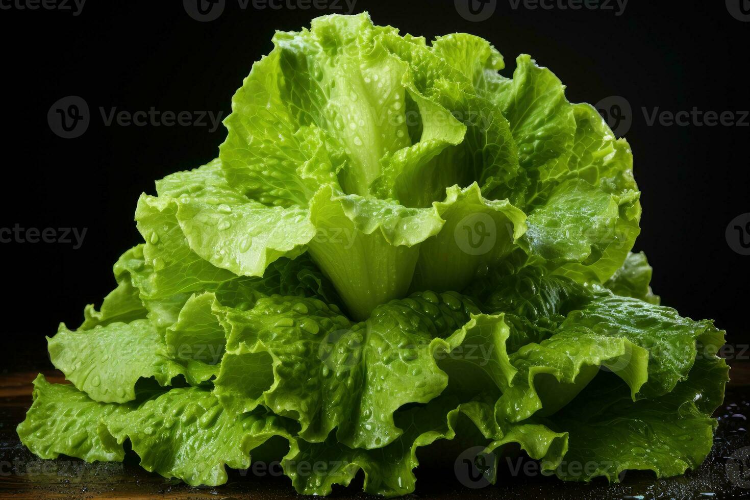 photos of lettuce ready to serve in indoor studio AI Generated