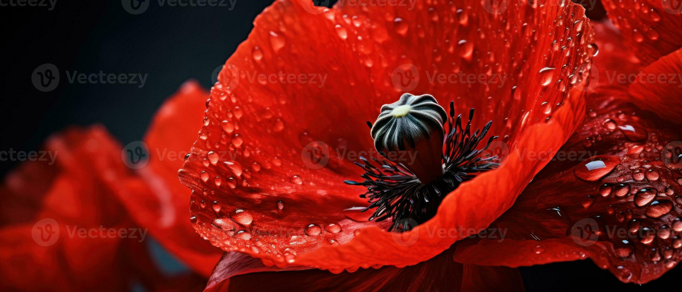Macro capture of a poppy flower. AI Generative photo