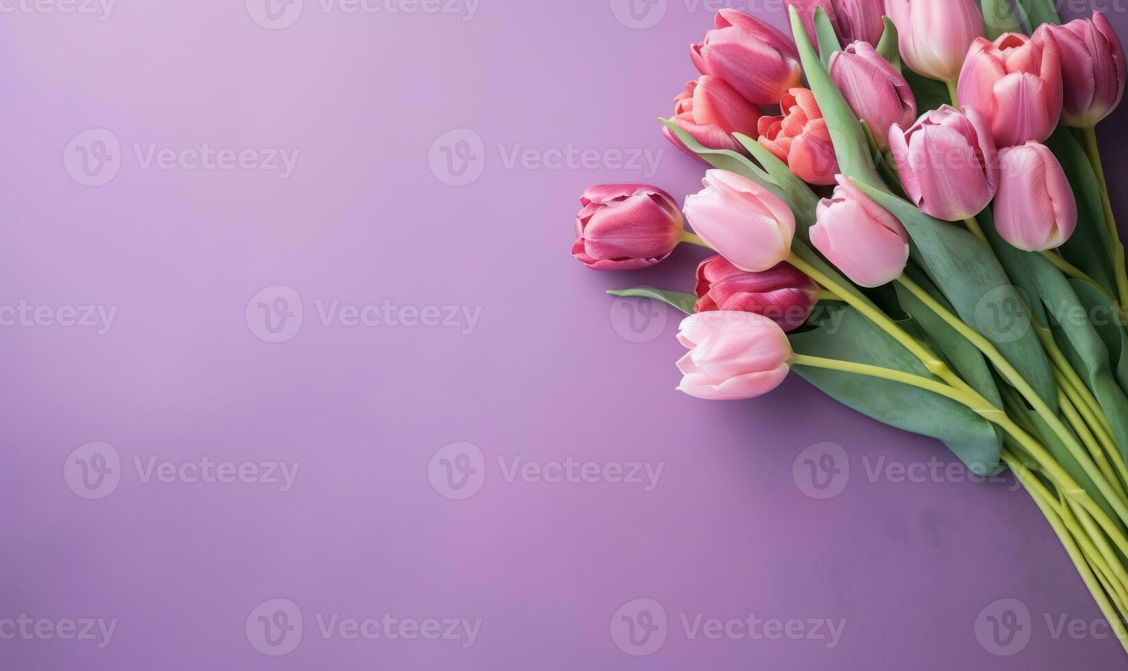 Graceful purple tulips on a delicate pink hue. AI Generative photo