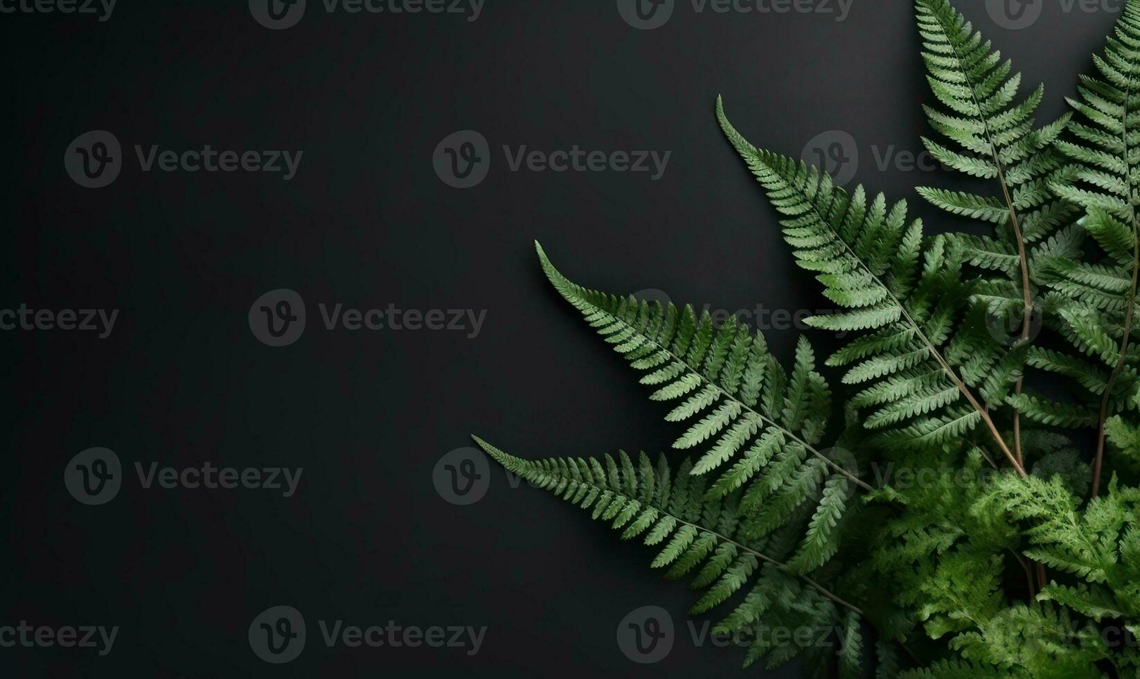 Vibrant green ferns showcased. AI Generative photo