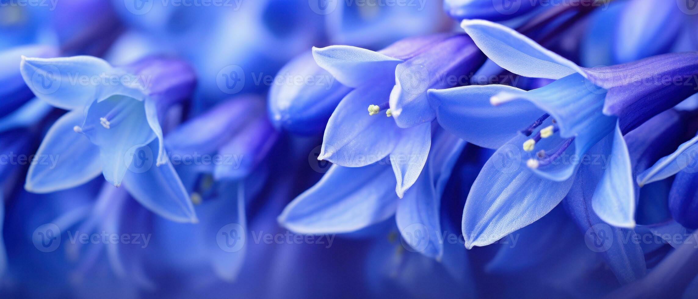 Intricate macro shot of a Bluebell flower. AI Generative photo