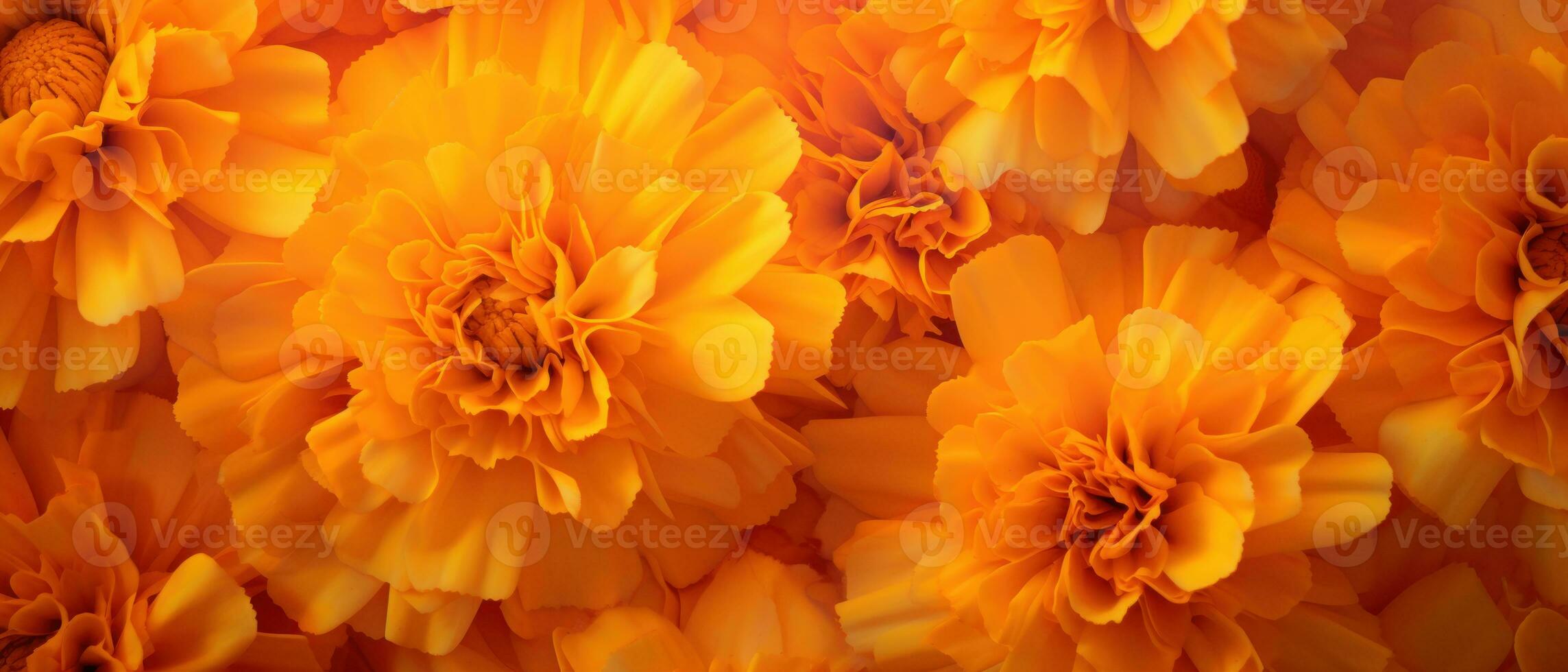 Close-up of Marigold petals. AI Generative photo