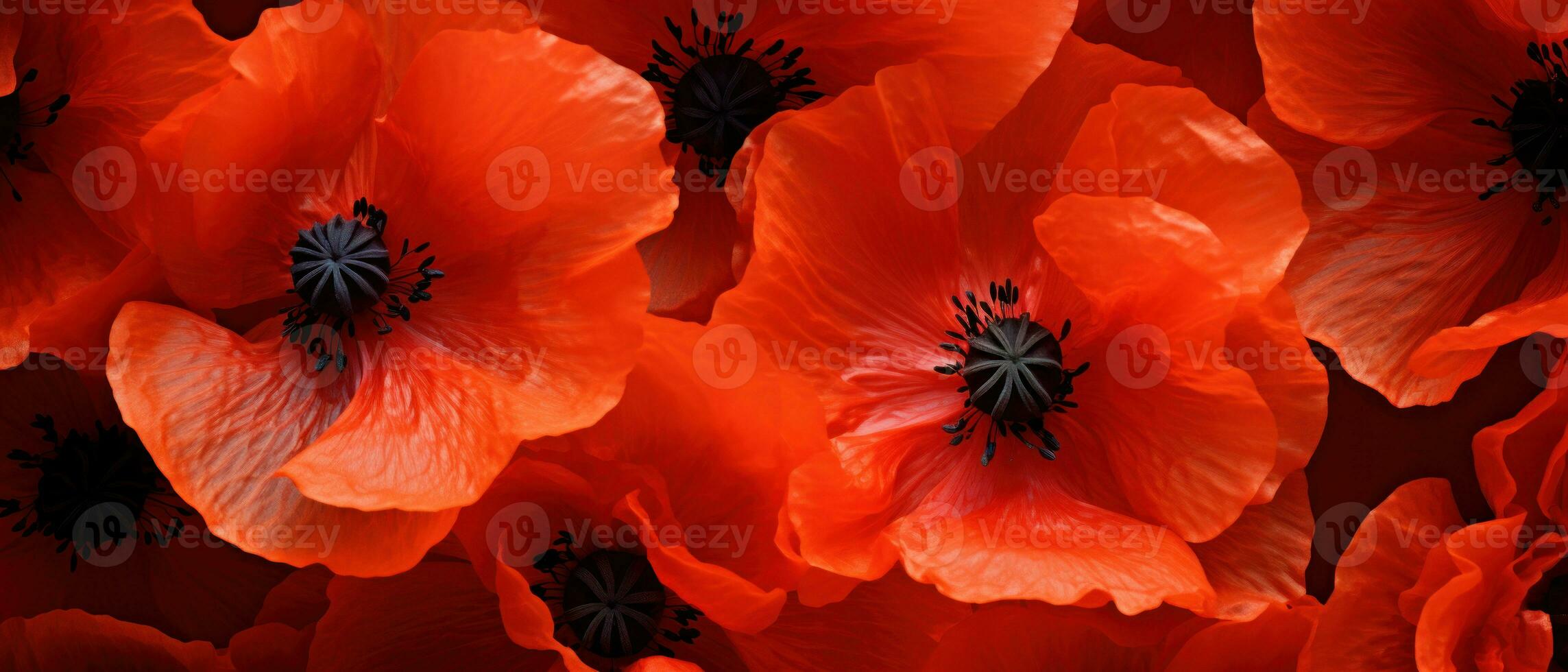 Macro capture of a poppy flower. AI Generative photo