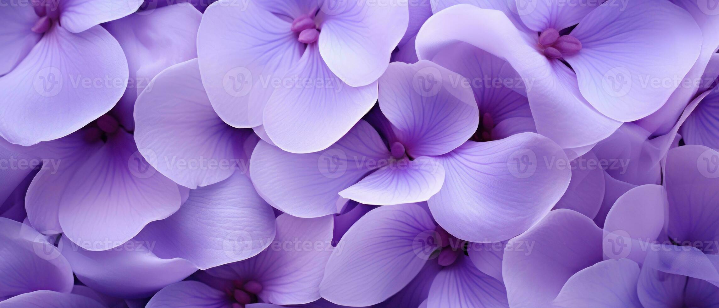 Close-up of dew-kissed purple flowers. AI Generative photo