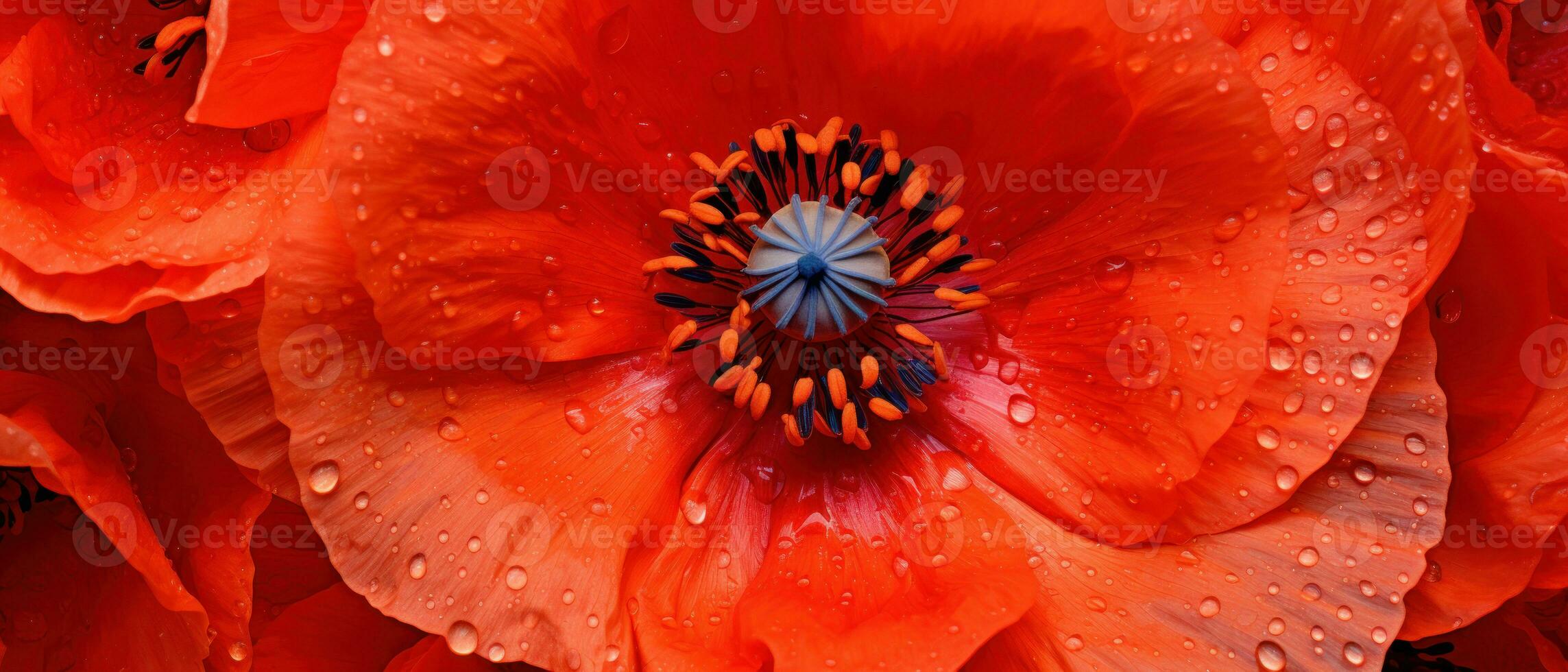 Macro capture of a poppy flower. AI Generative photo