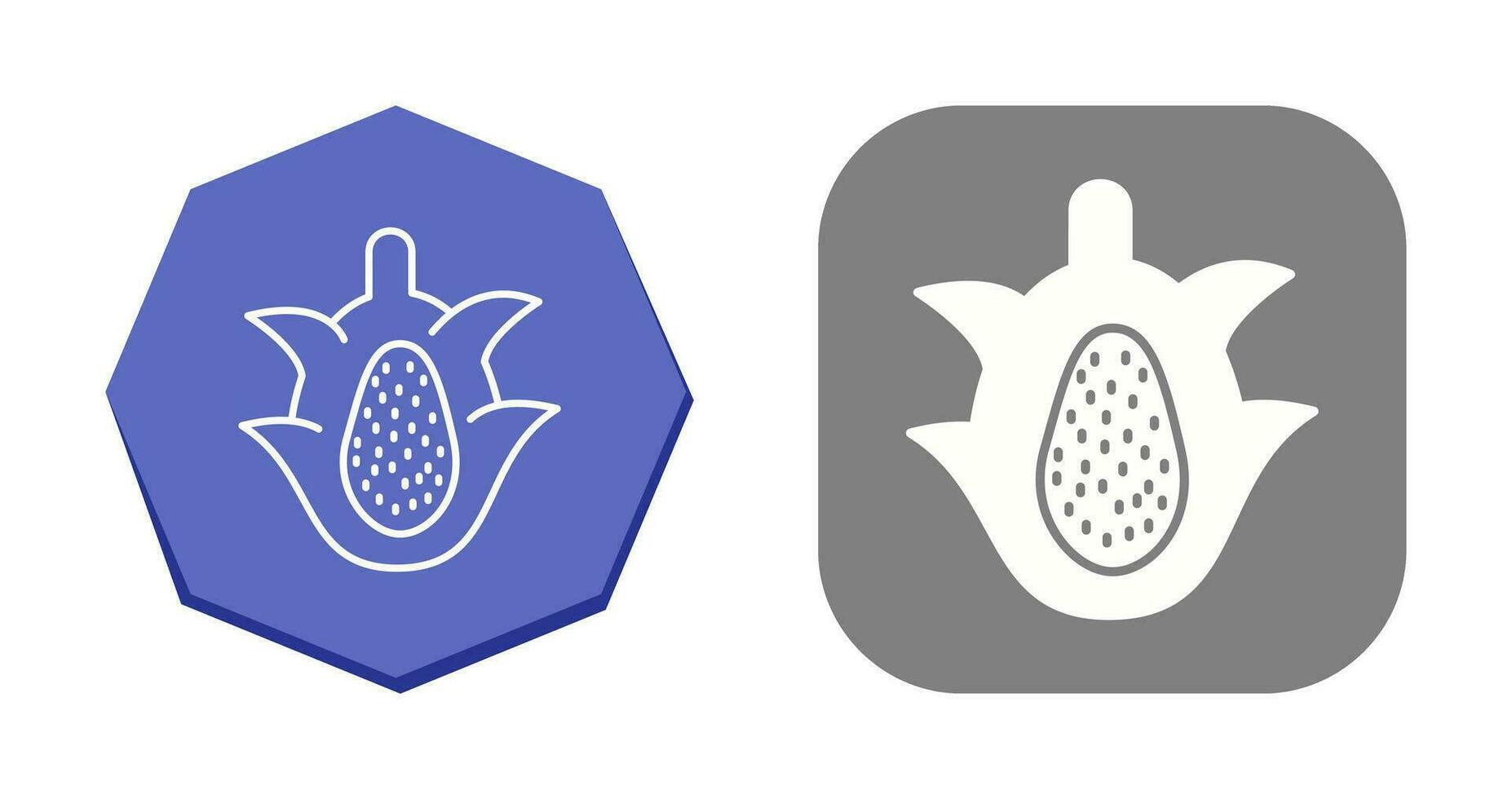 Dragon Fruit Vector Icon