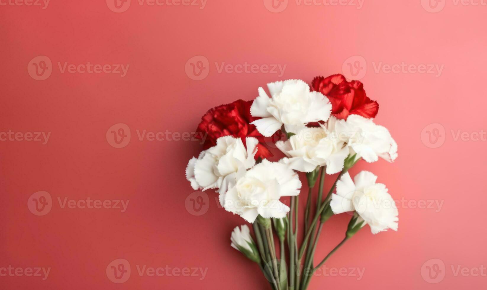 Elegant white and red carnations gracefully arranged. AI Generative photo