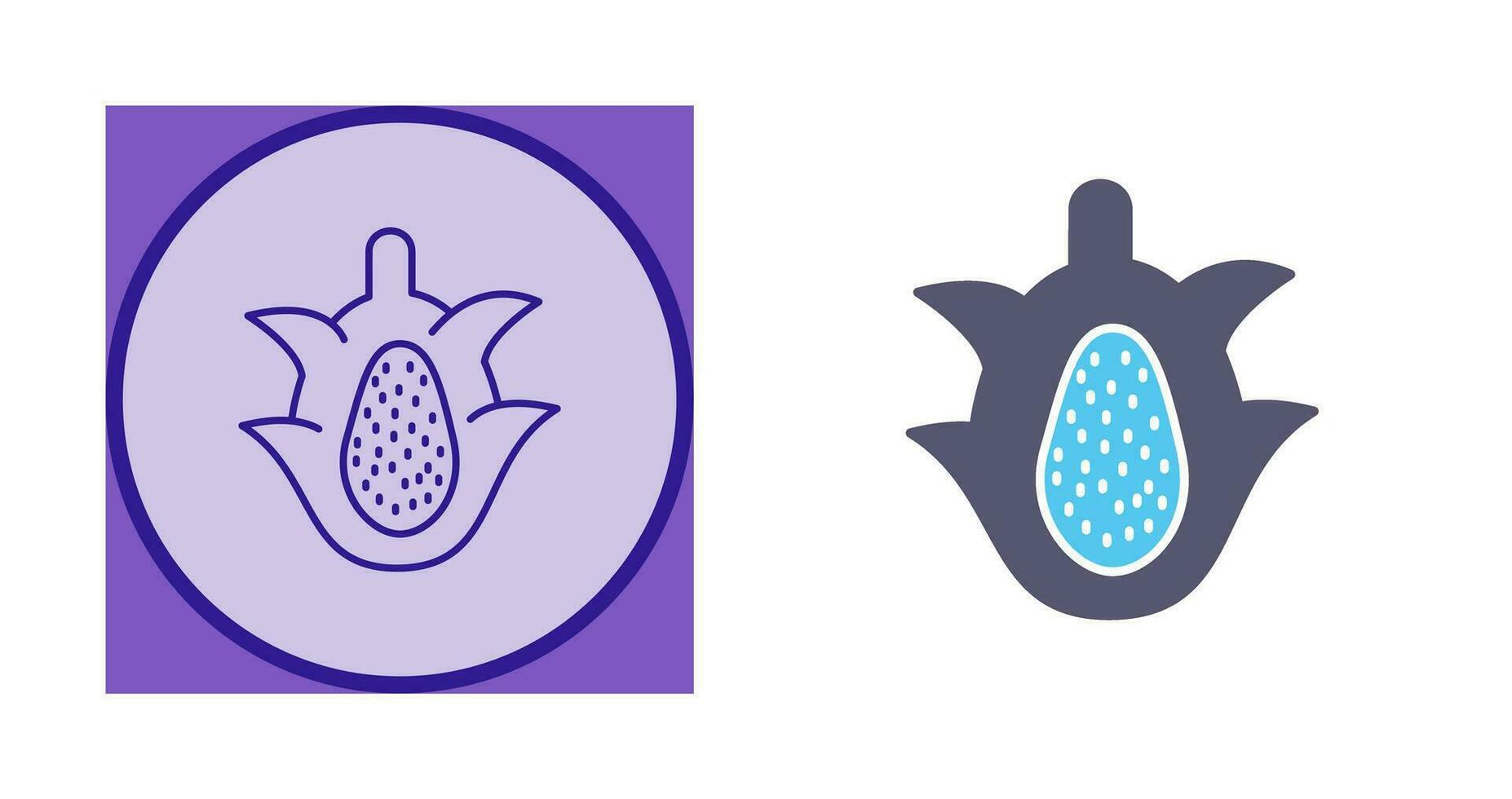 icono de vector de fruta de dragón