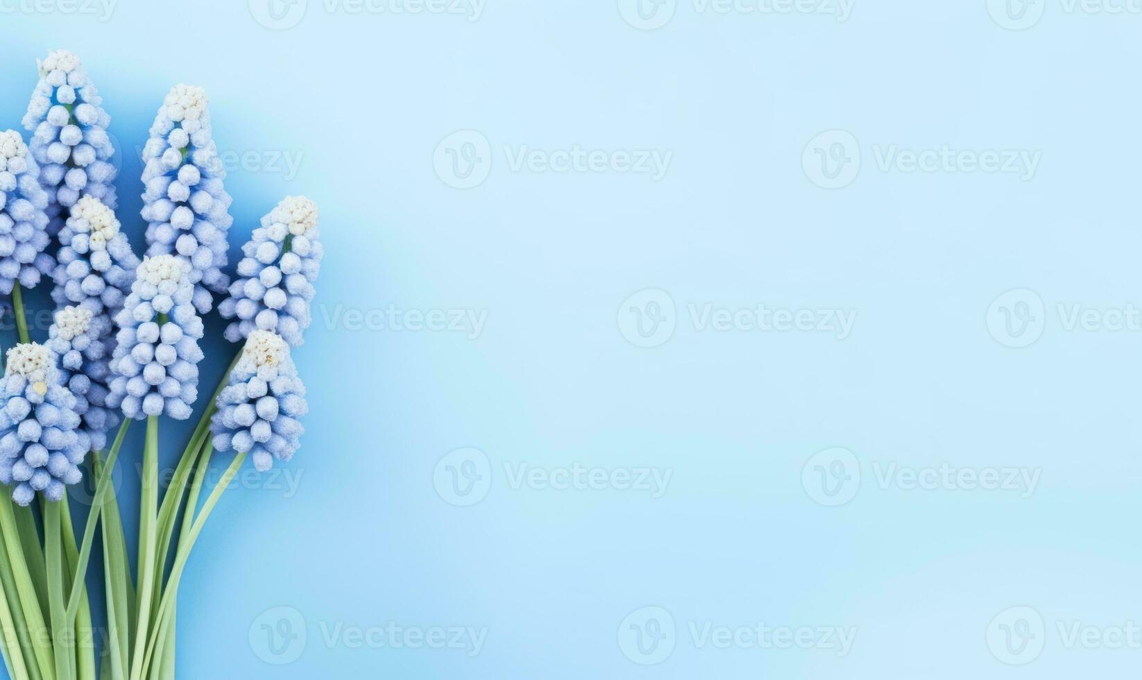Vibrant bunch purple hyacinths against a vivid blue backdrop. AI Generative photo