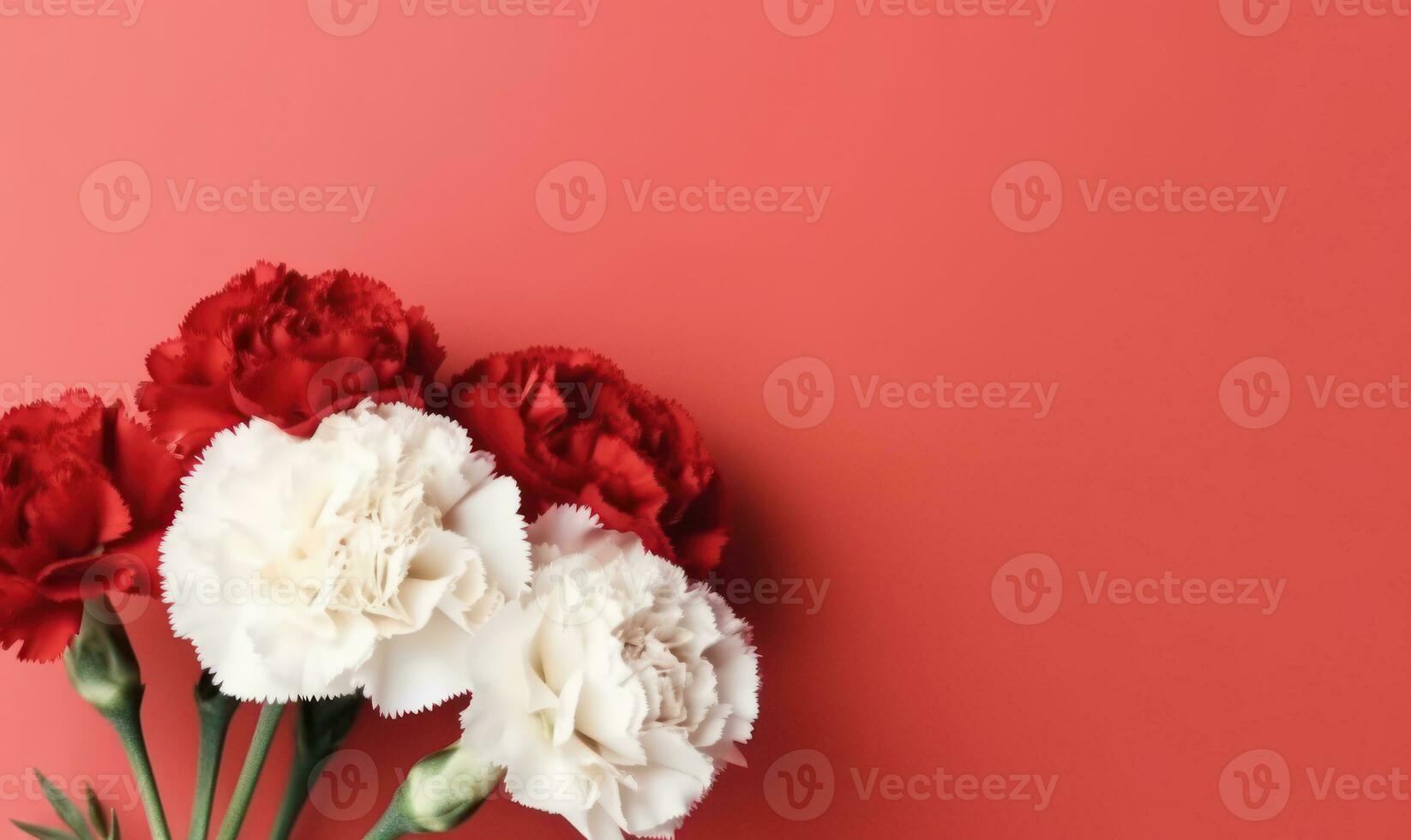 Elegant white and red carnations gracefully arranged. AI Generative photo