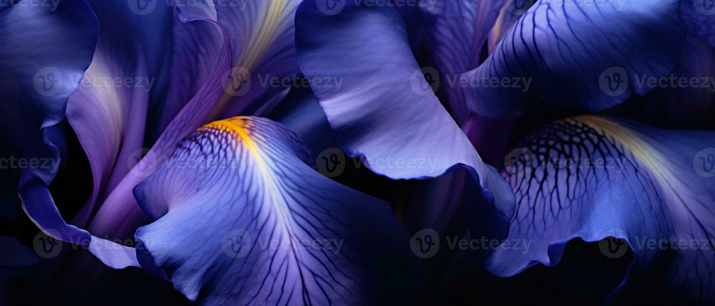 Close-up of an Iris bloom. AI Generative photo