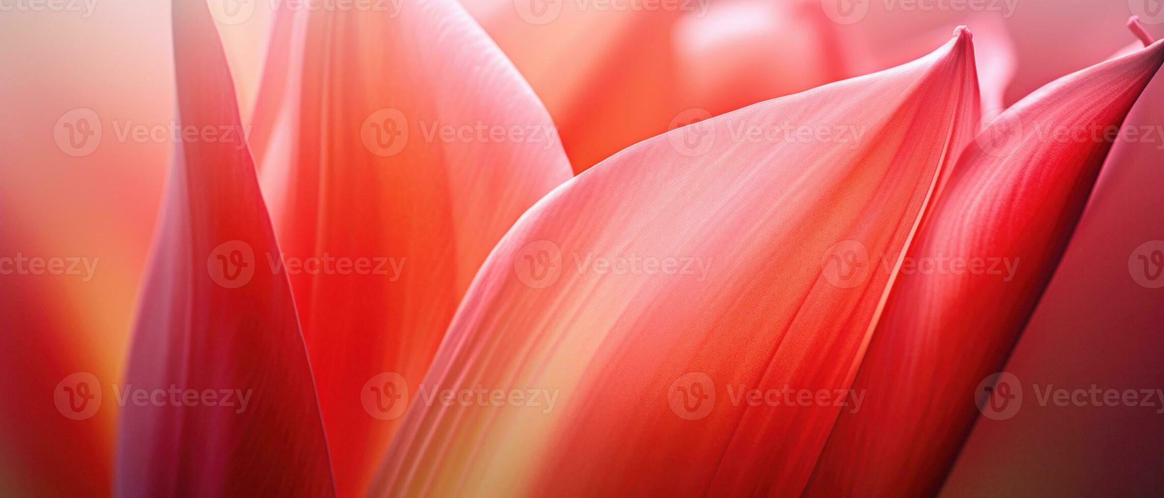 Macro beauty of a single tulip. AI Generative photo
