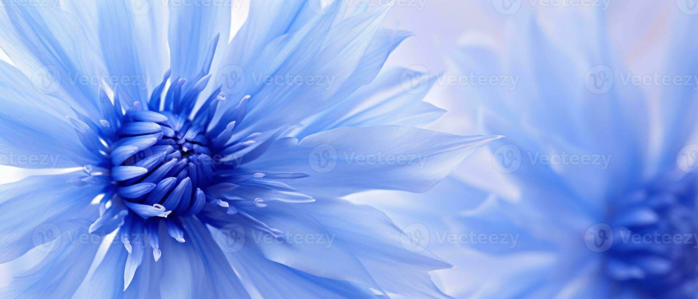 Detailed close-up of Cornflower petals. AI Generative photo