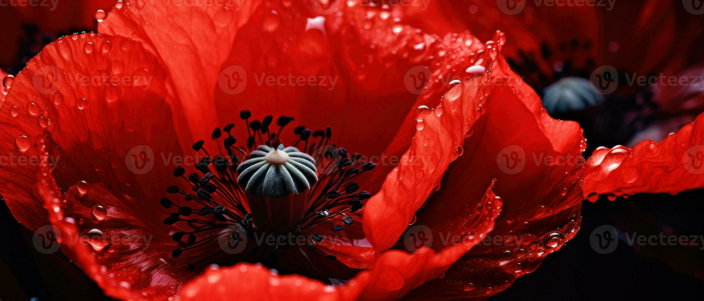 Macro capture of a poppy flower. AI Generative photo
