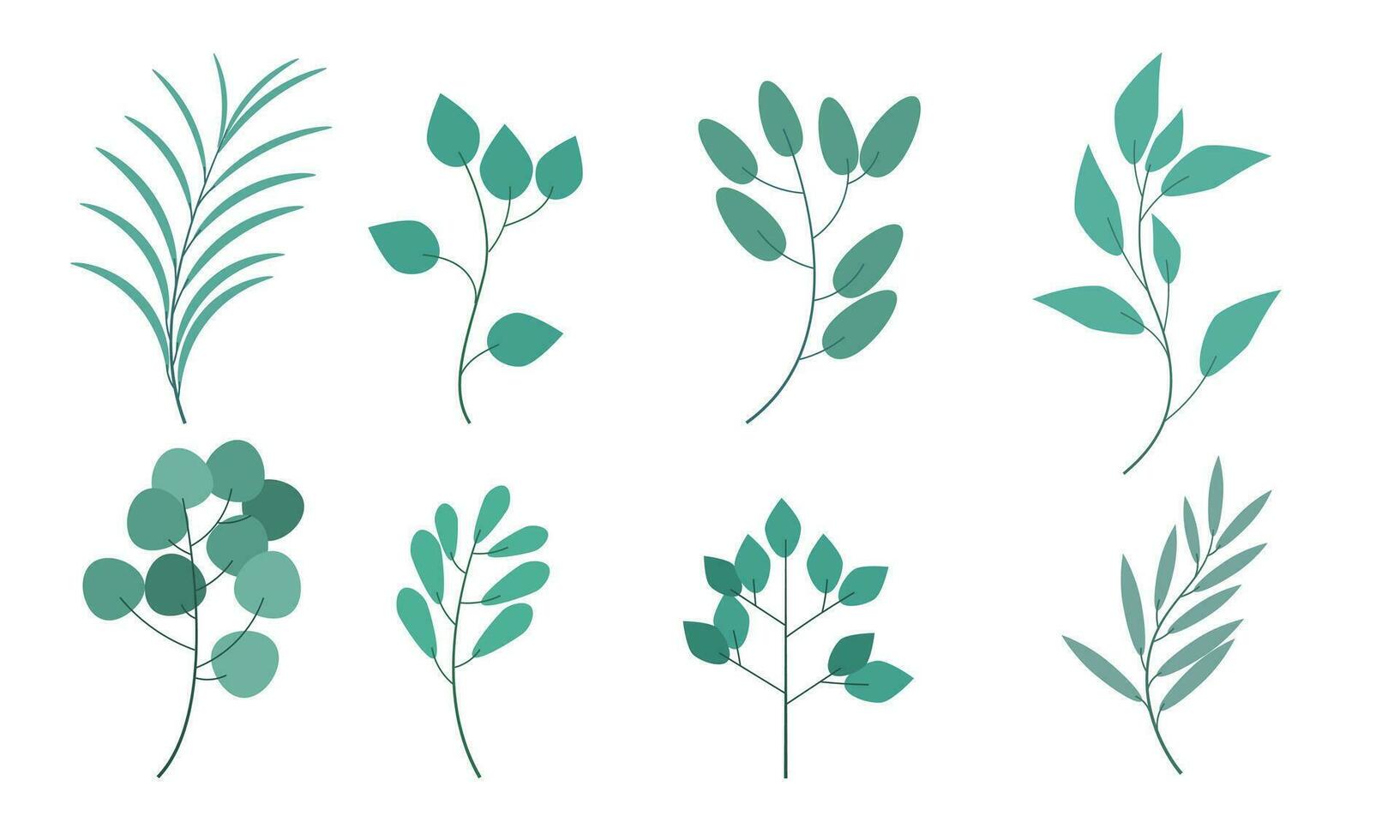 set collection of leaves, beautiful leaf elements for decoration and design vector