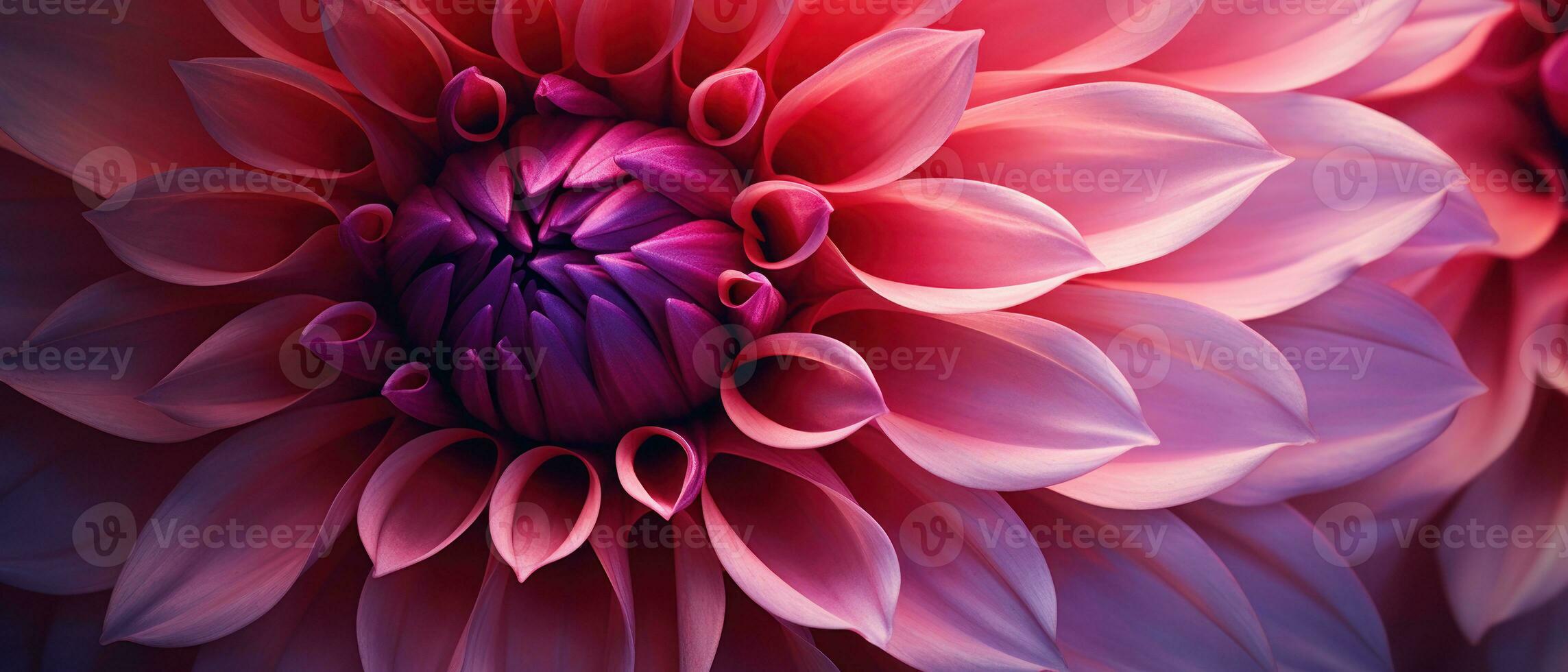 Close-up macro capture of a dahlia flower. AI Generative photo