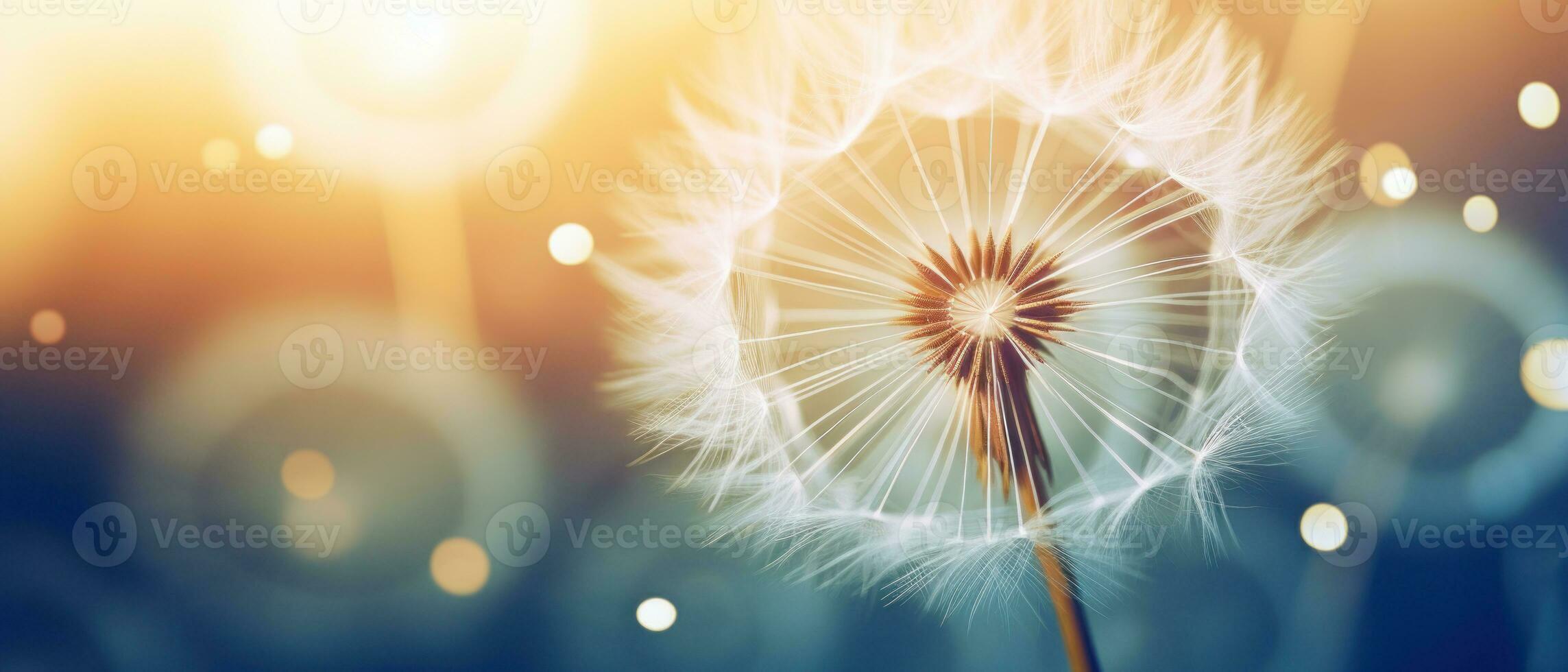Macro shot of a dandelion highlighting its soft. AI Generative photo