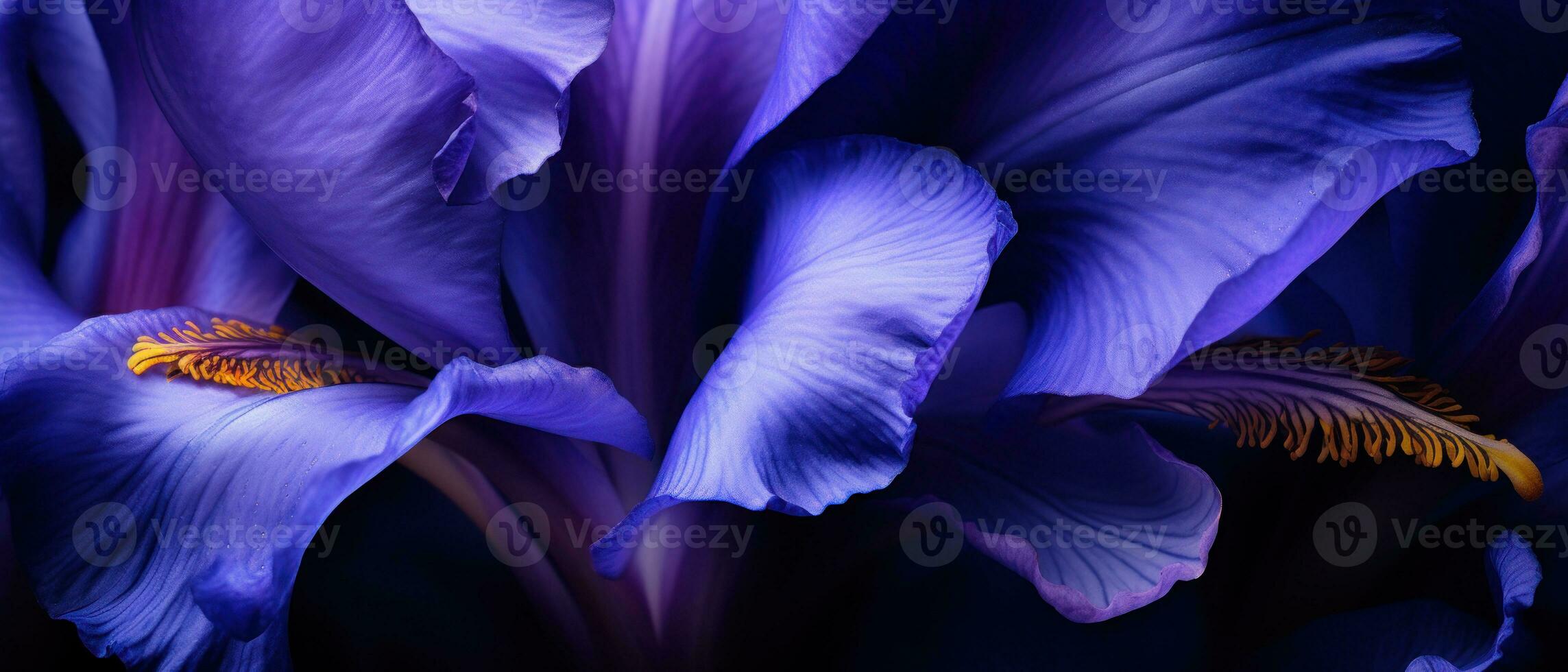 Close-up of an Iris bloom. AI Generative photo