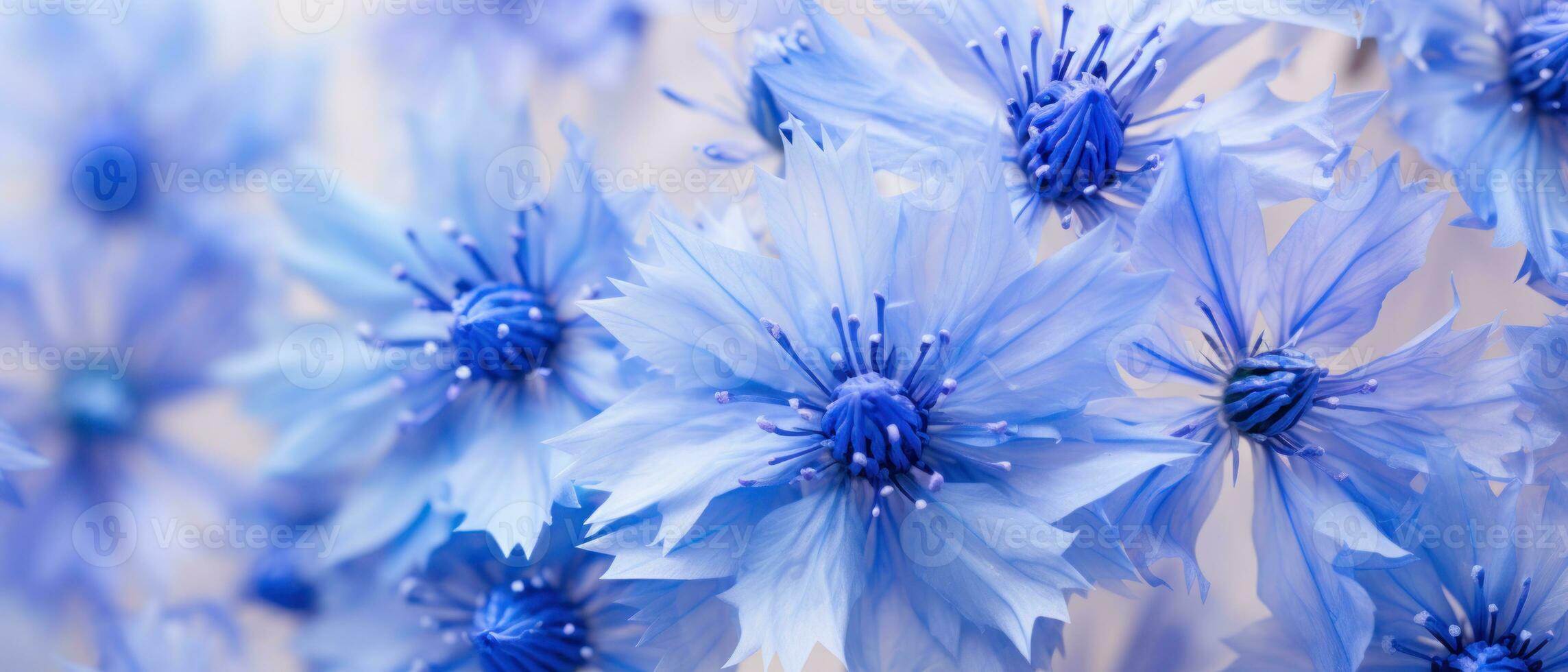 Detailed close-up of Cornflower petals. AI Generative photo