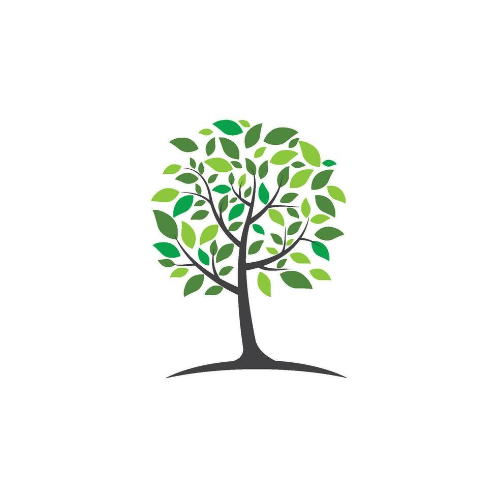 Tree branch vector ilustration design