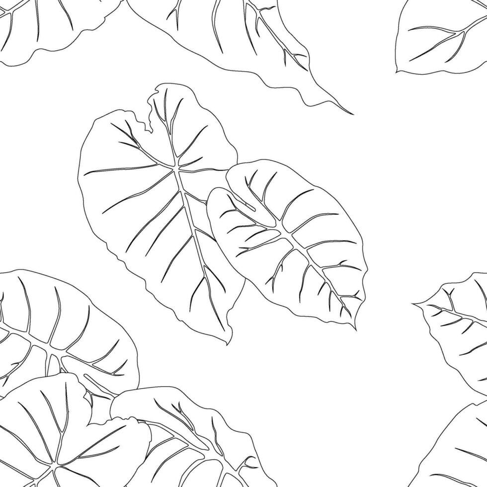 Colocasia leaves pattern line art for decorate your designs with tropical illustration isolated on white background vector