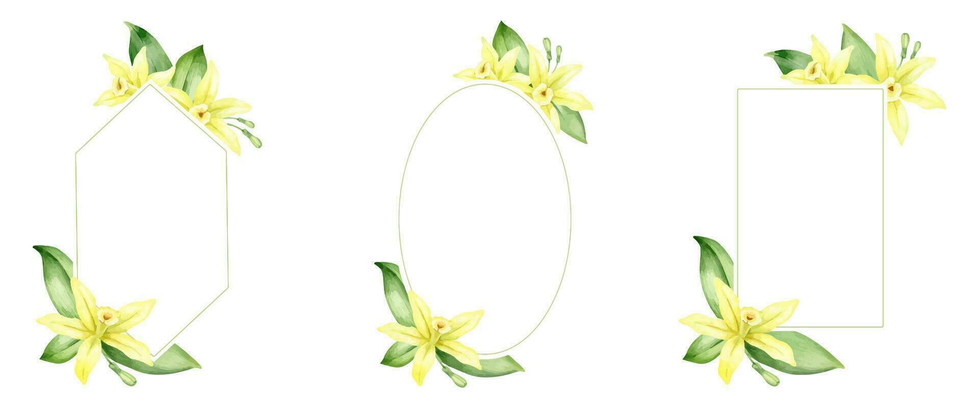 Set of frames of yellow vanilla flowers. Wreaths with tropical exotic flowers. Watercolor illustrations. Isolated. Flavoring for cooking. For greeting cards, postcard, scrapbooking, packaging design vector