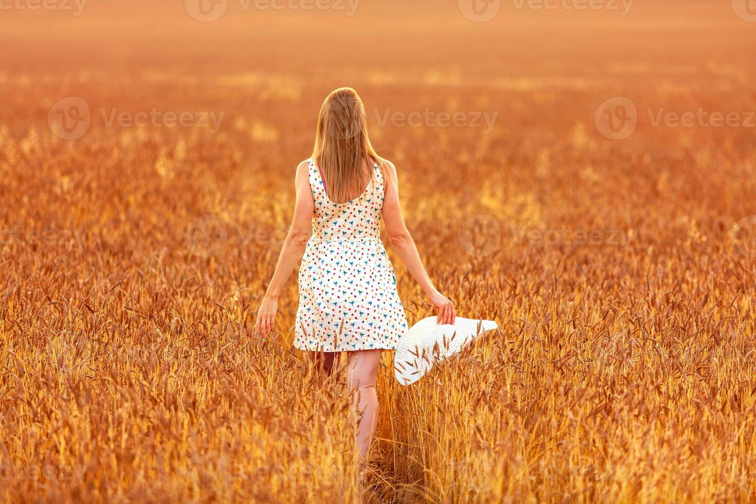 joven mujer caminando en el trigo campo a puesta de sol. espalda vista. foto
