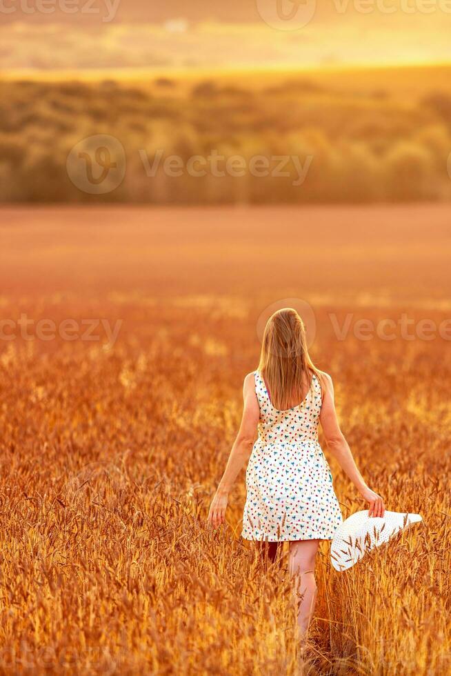 joven mujer caminando en el trigo campo a puesta de sol. espalda vista. foto