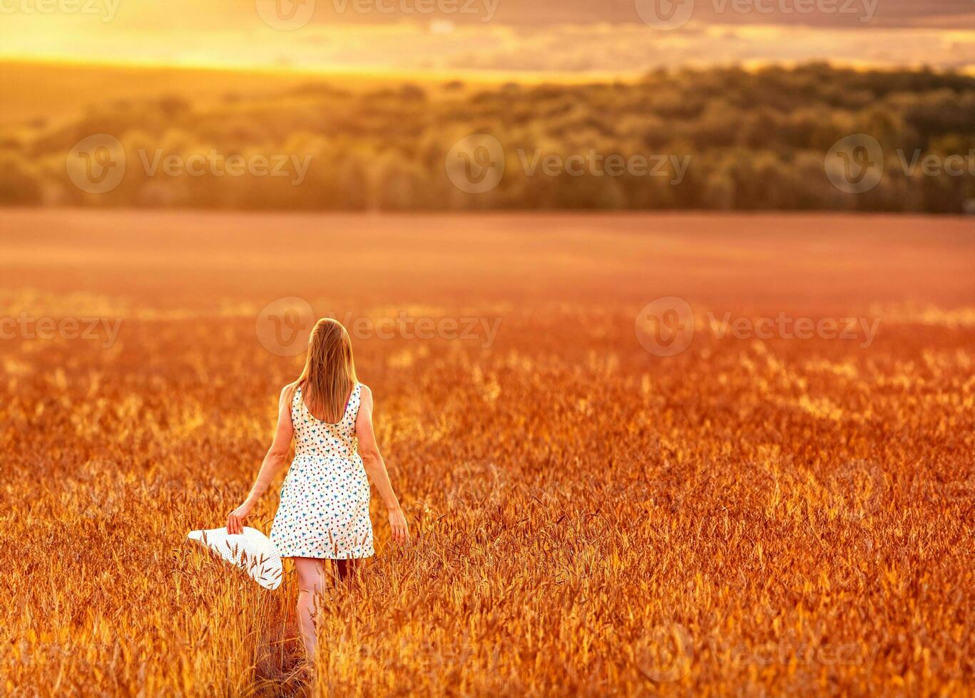 Young woman walking in the wheat field at sunset. Back view. photo