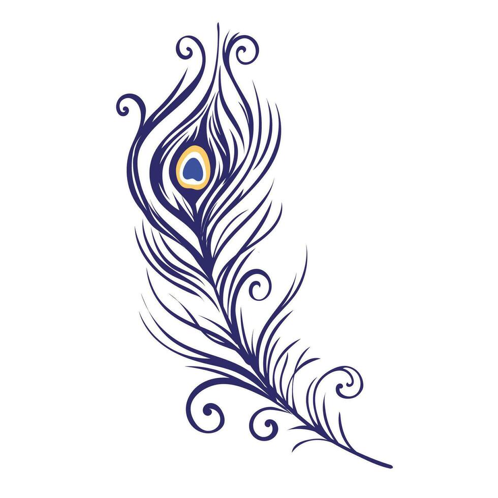 Peacock feathers on a white background vector