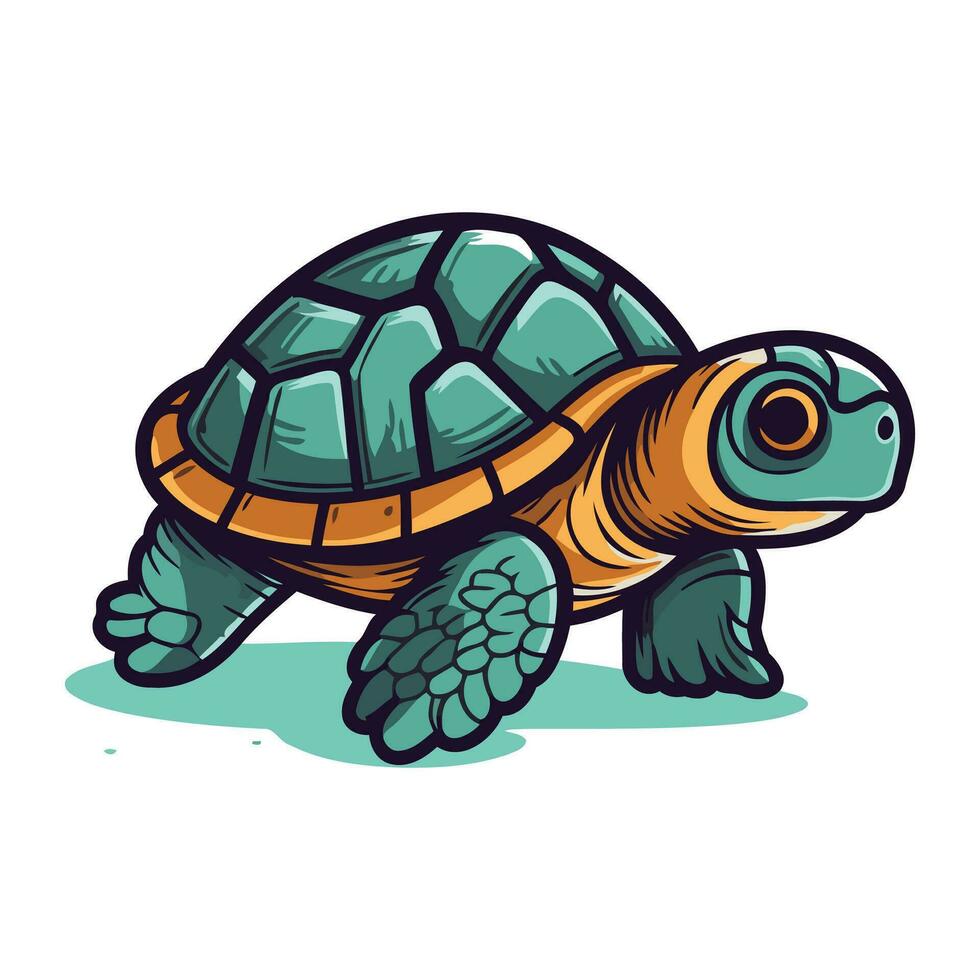 Tortuga aislado en blanco antecedentes. dibujos animados estilo. vector ilustración.