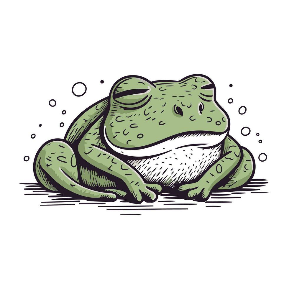 Frog. Hand drawn vector illustration. Isolated on white background.