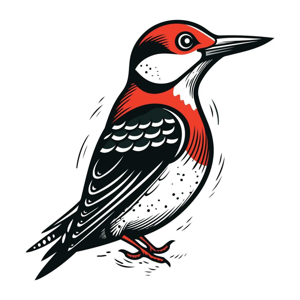 pájaro carpintero vector ilustración. mano dibujado bosquejo para tatuaje o t camisa diseño.