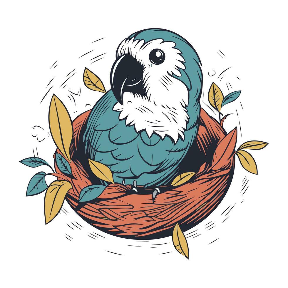 Cute parrot in the nest. Hand drawn vector illustration.