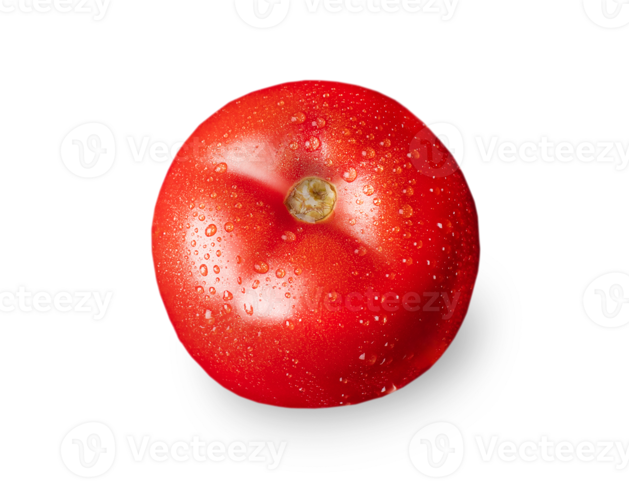 Tomato isolated.  Tomat top view. Tomato with drops. png