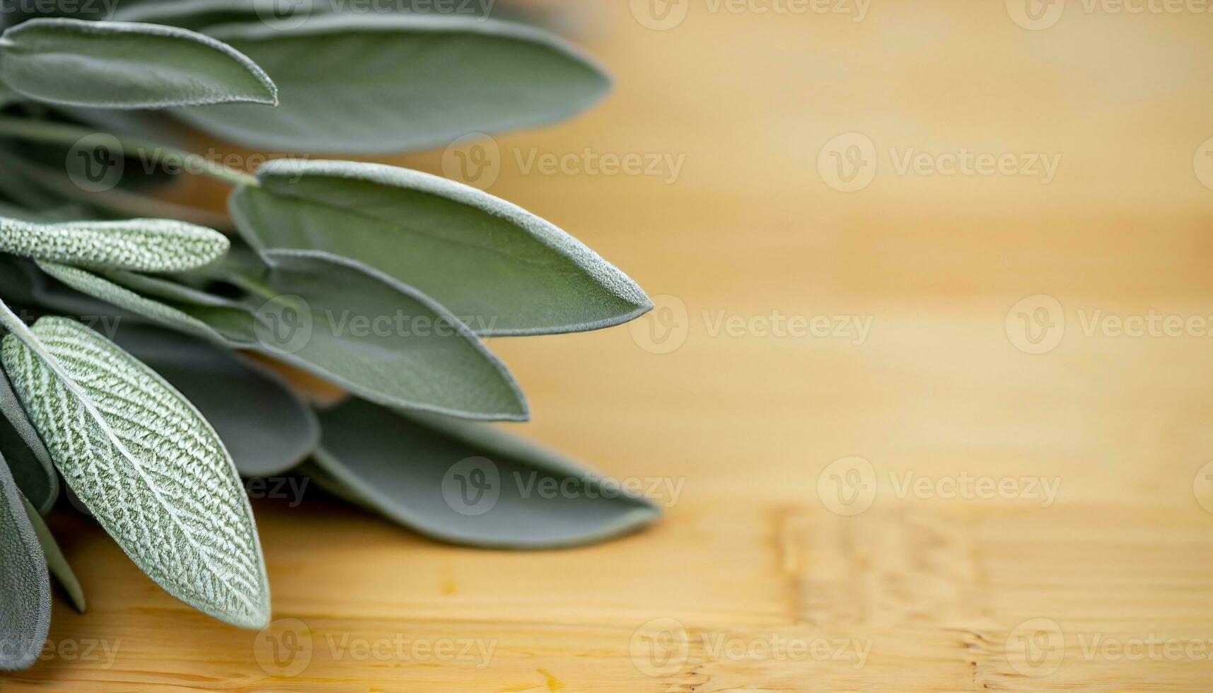 Sage leaf medicine herbal ingredient. Health aromatherapy herb. AI generative photo