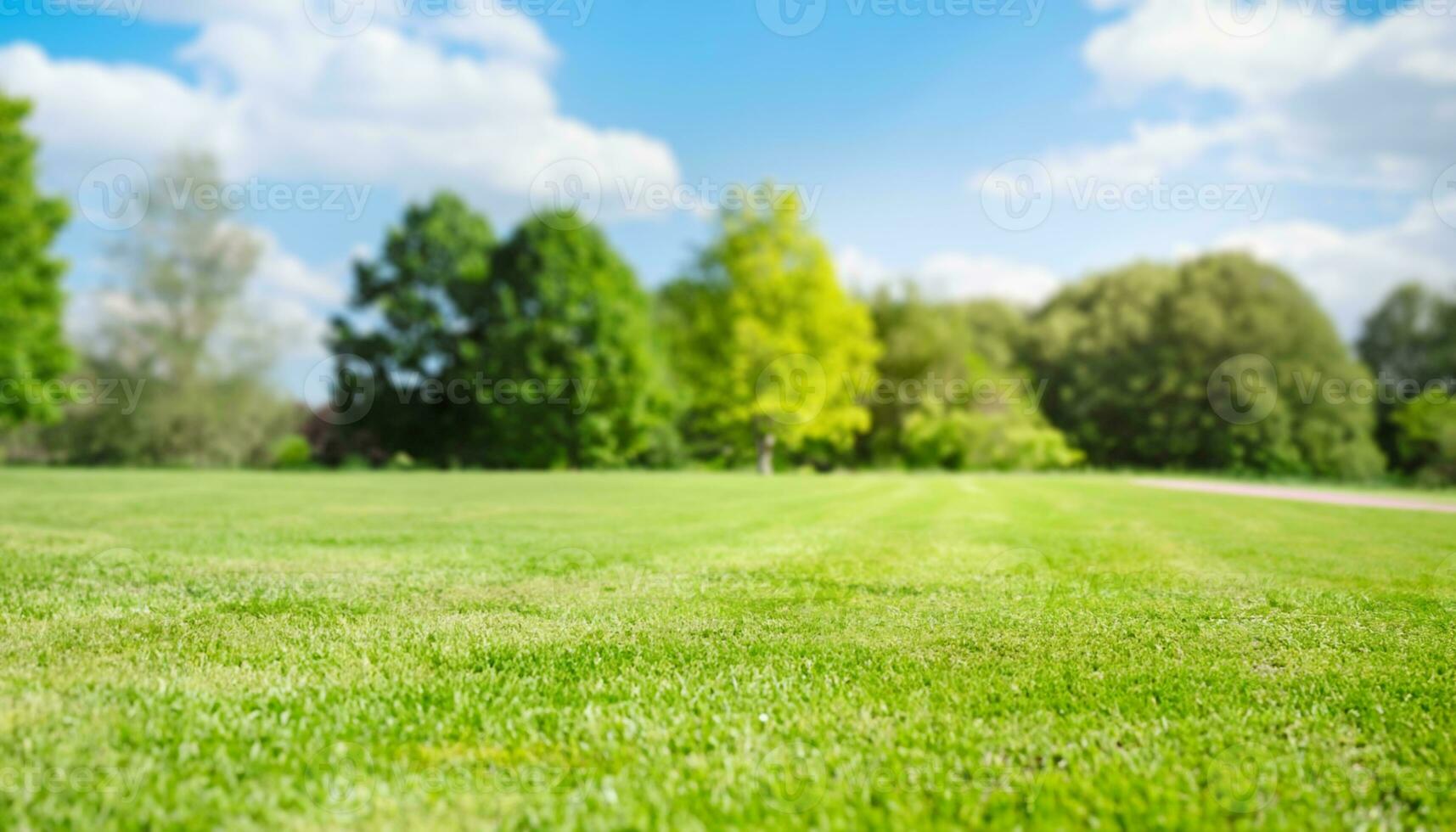 Lawn grass  AI Generative photo