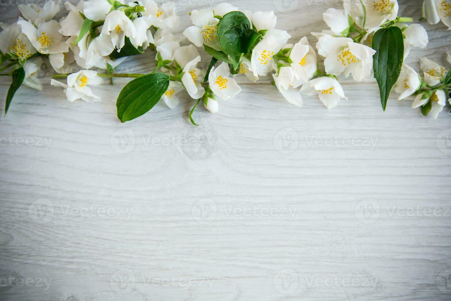 de madera antecedentes con floreciente blanco jazmín y vacío espacio foto