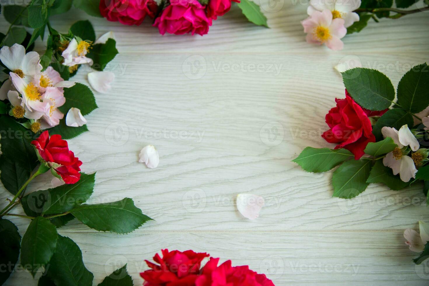 background of many red roses on a light wooden photo