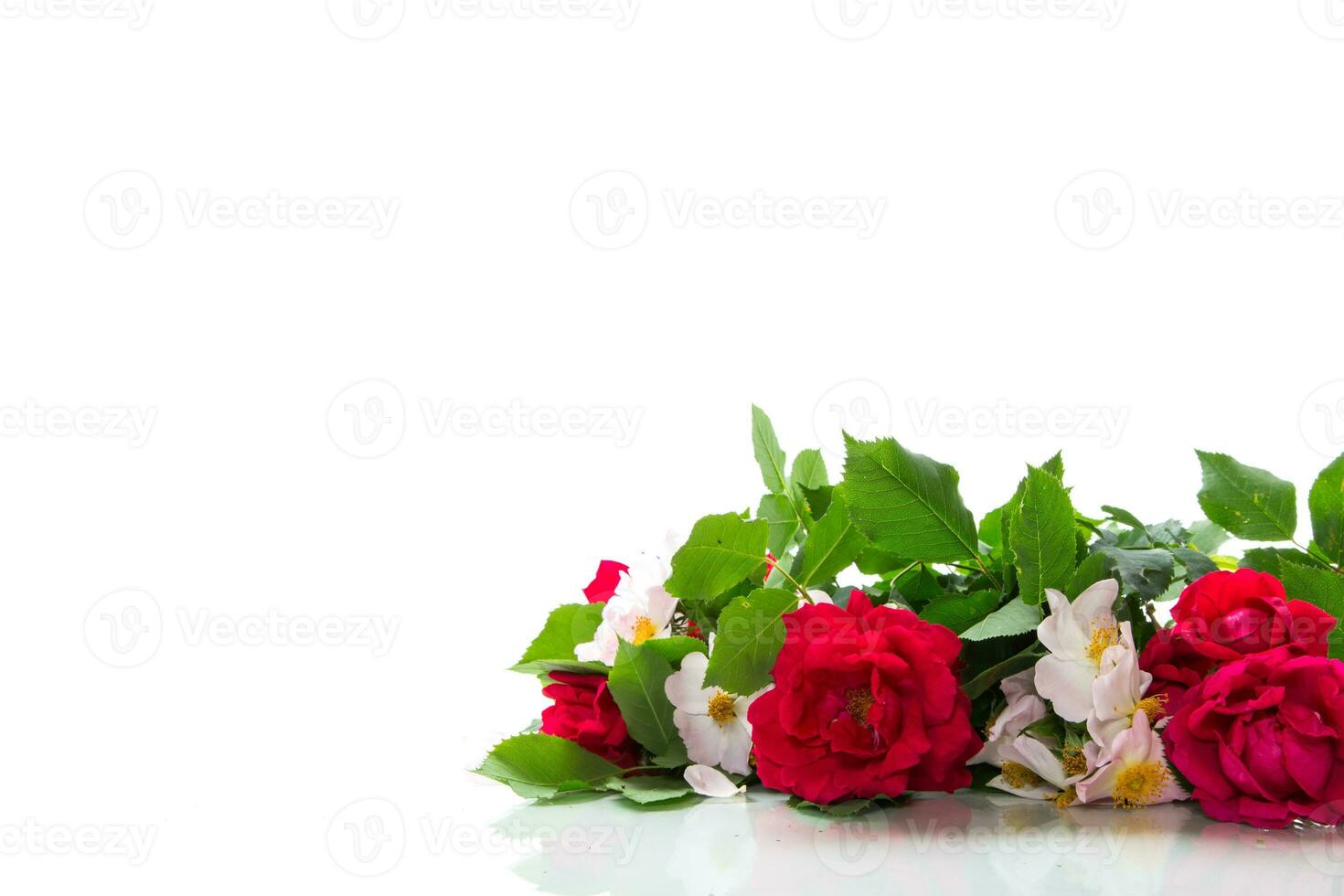 grande ramo de flores de hermosa rojo y rosado rosas en blanco antecedentes foto