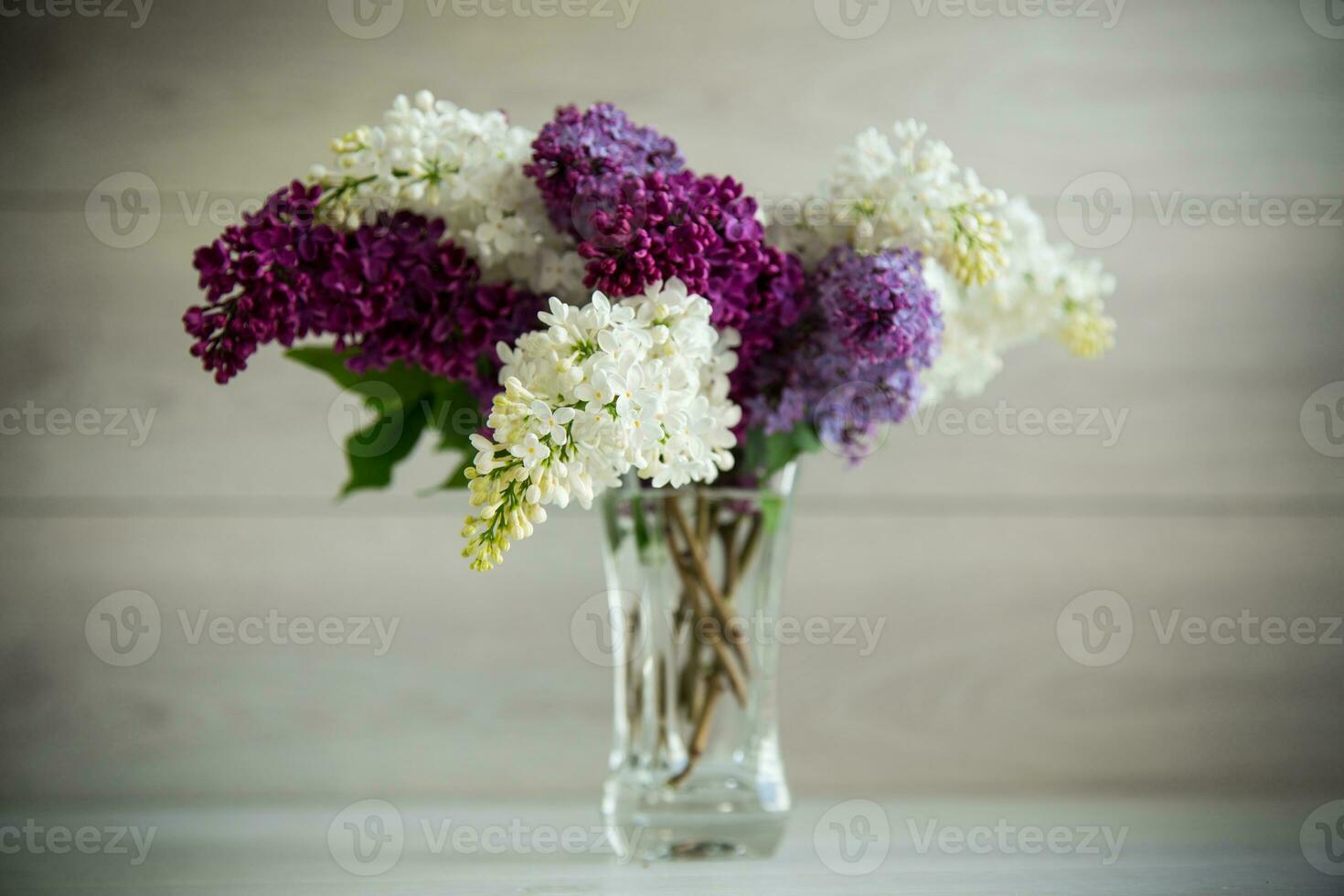 Bouquet of beautiful spring lilacs of different colors photo