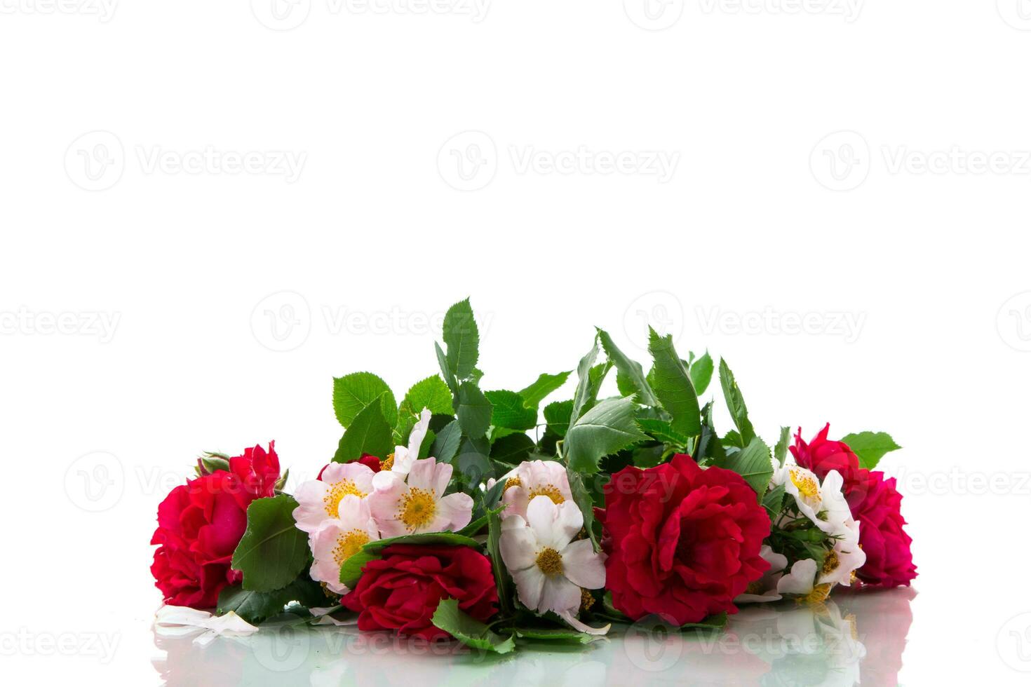 big bouquet of beautiful red and pink roses on white background photo