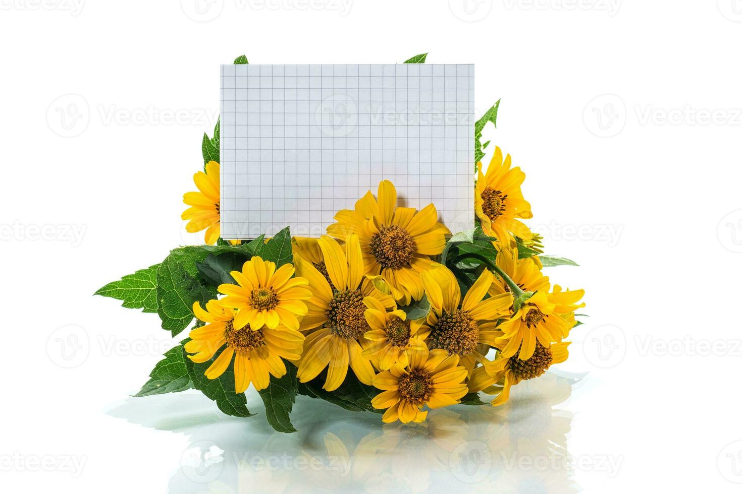 Bouquet of yellow summer beautiful daisies on a white background. photo