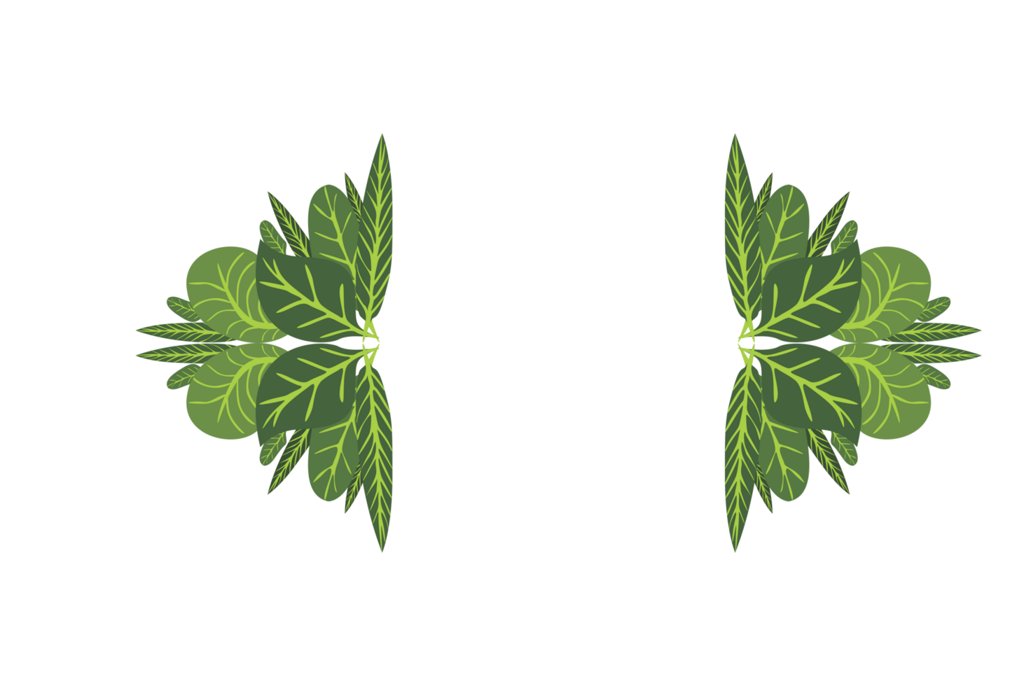 Flora Ornament Border With Design With Transparent Background png