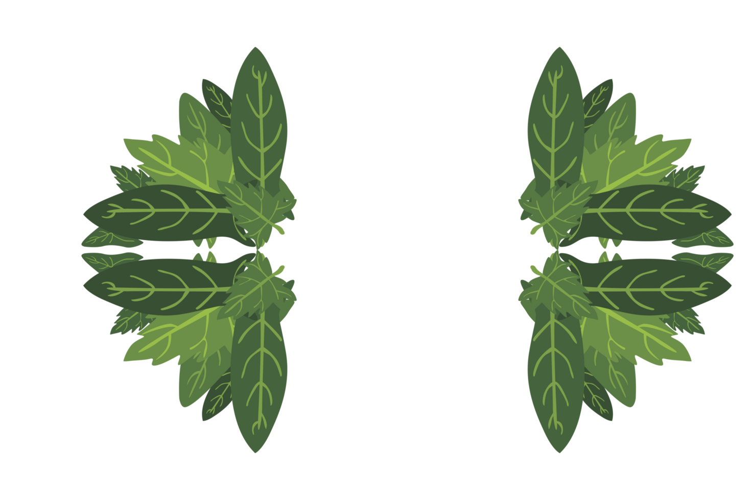 Flora Ornament Border With Design With Transparent Background png
